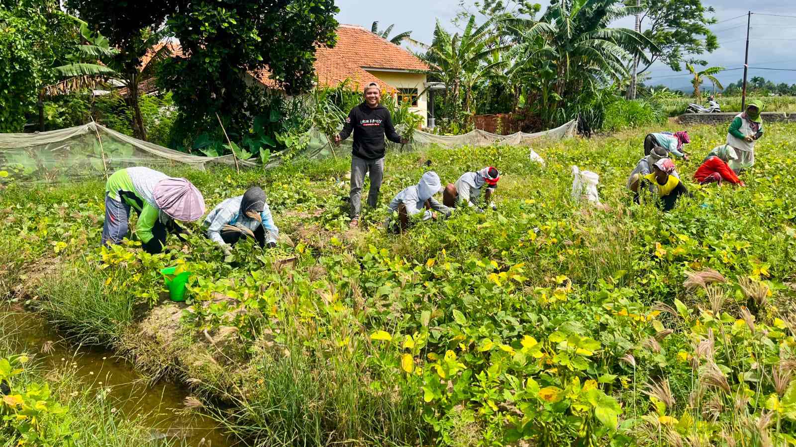 Dari Probolinggo untuk Pangan Indonesia