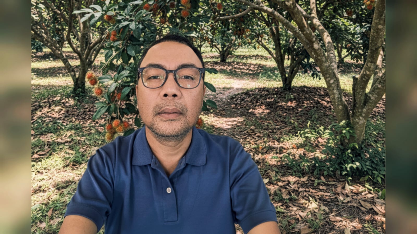 Rambutan Lampung, Peluang Manis yang Masih Tertidur