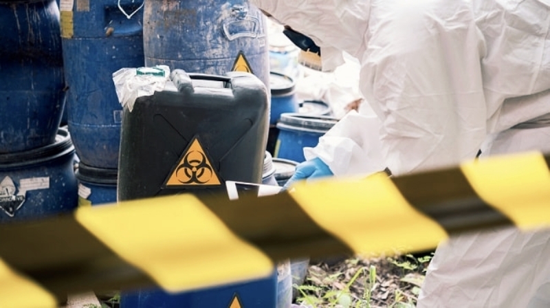 Buntut Temuan Radioaktif, Karantina Pastikan Ekspor Cengkeh Langsung dari Lampung ke AS Tidak Ada