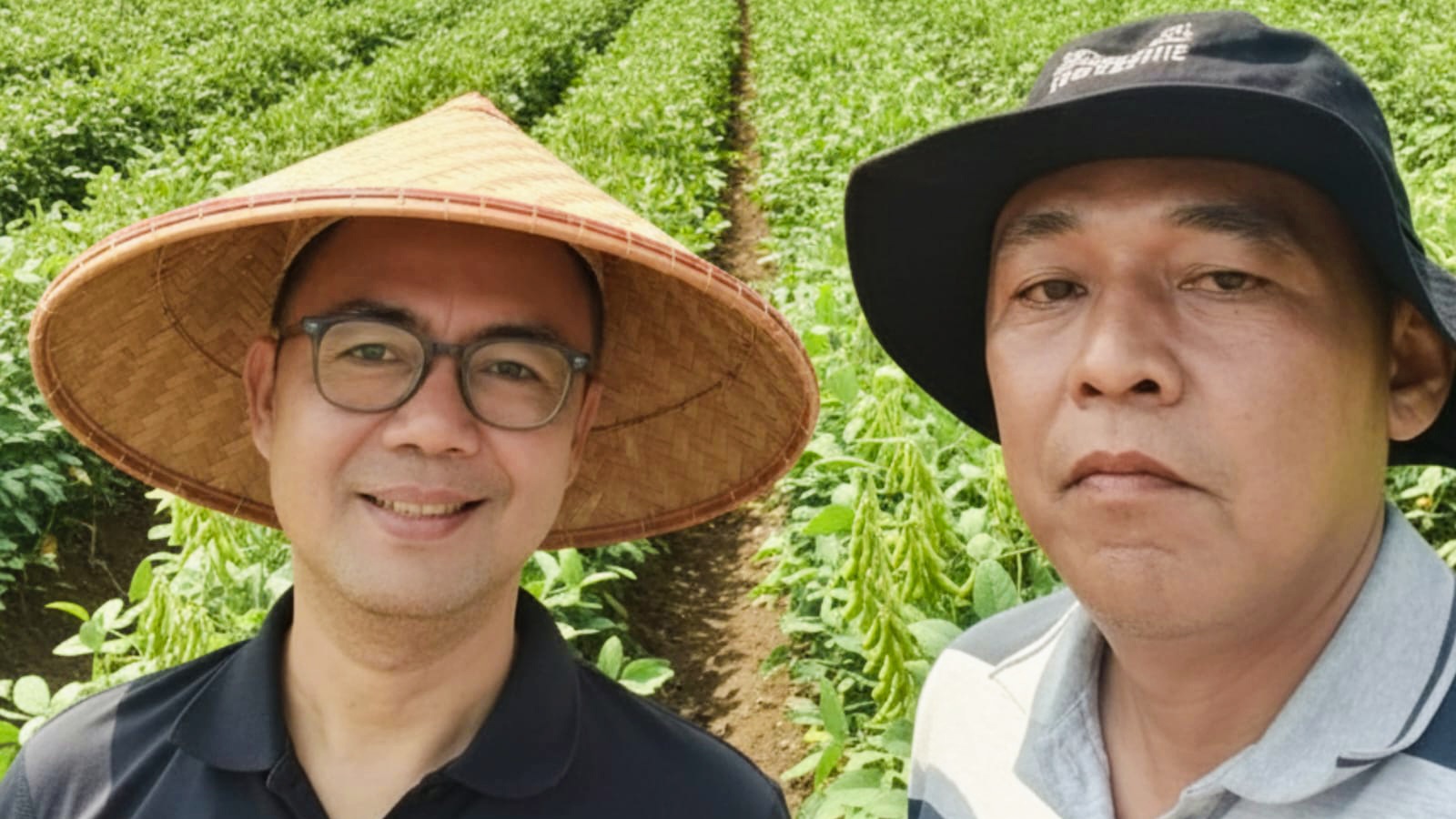 Edamame dan Okra: Komoditas yang Diam-diam Meraup Untung dari Pasar Ekspor