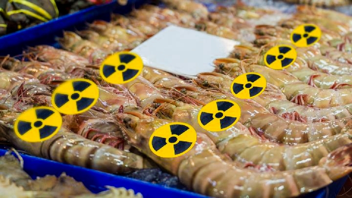 Terimbas Isu Cesium-137, 6 Eksportir Udang Lampung Dikenai Syarat Tambahan