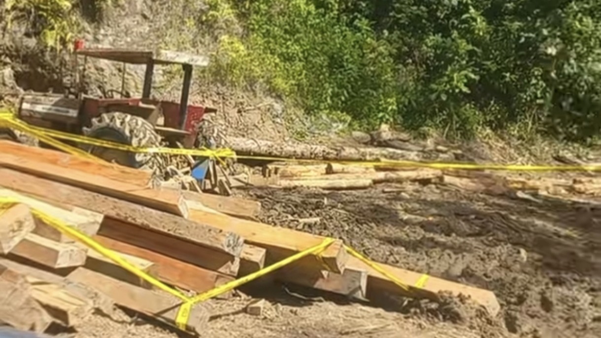 Bukan Korporasi, Gubernur Lampung Tuding Masyarakat Penyebab Hutan Rusak