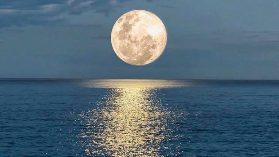 Awas! Fenomena Supermoon Picu Ancaman Banjir Rob Sepekan di Lampung