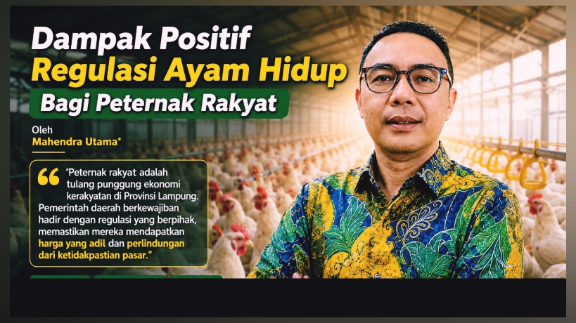 Dampak Positif Regulasi Ayam Hidup