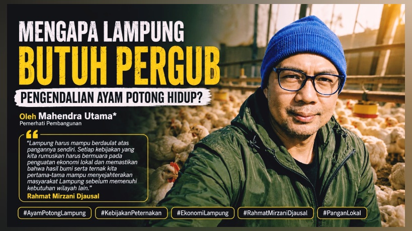 Lampung Butuh Pergub Pengendalian Ayam Potong