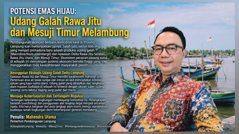 Udang Galah Rawa Jitu dan Mesuji Timur Melambung