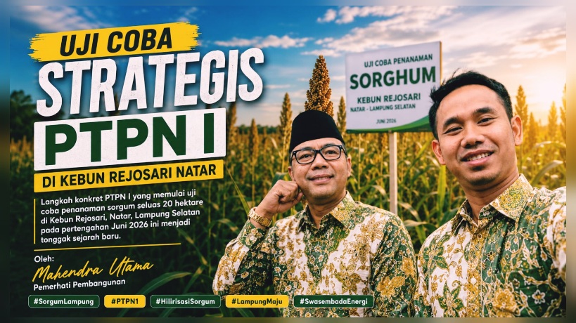 Uji Coba Strategis PTPN I di Kebun Rejosari