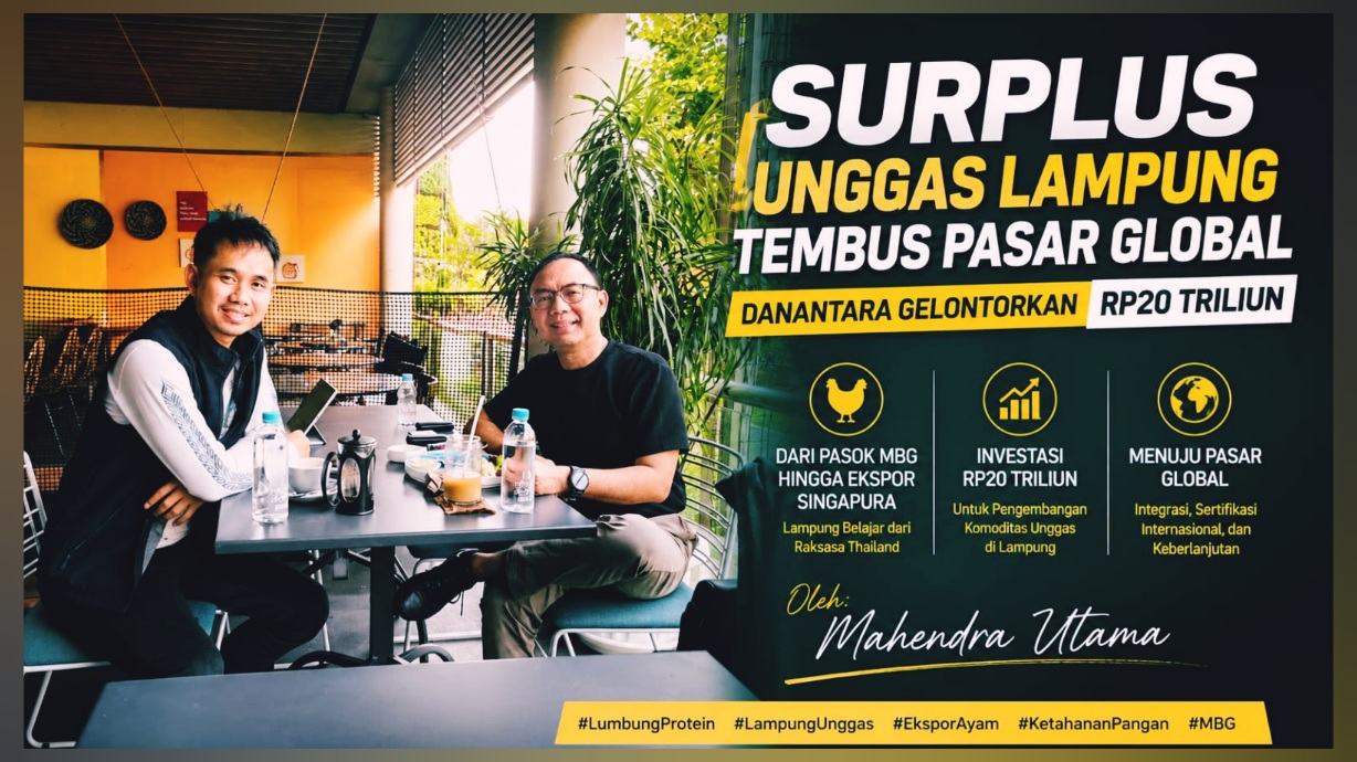 Surplus Unggas Lampung Tembus Pasar Global